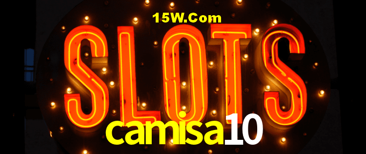 Security Systems camisa10