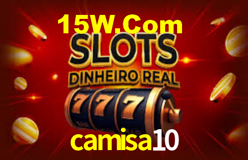 camisa10 - Installation Guide